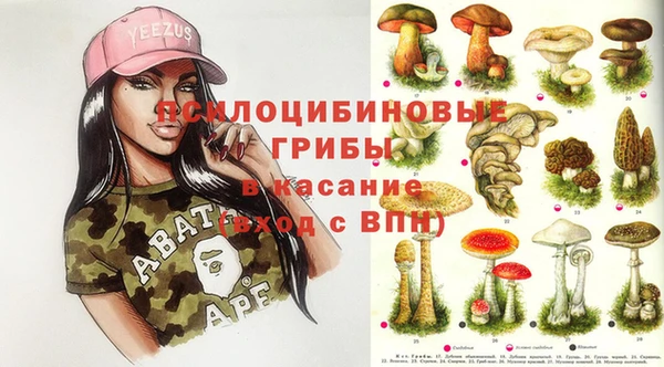 крисы Пересвет