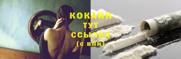 крисы Пересвет