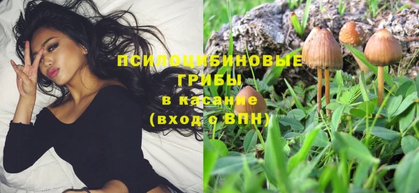 спиды Переславль-Залесский