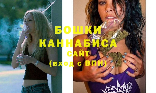 дмт Пестово