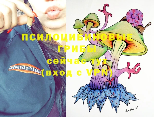 крисы Пересвет