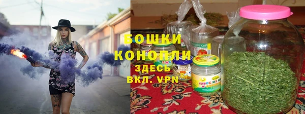 крисы Пересвет