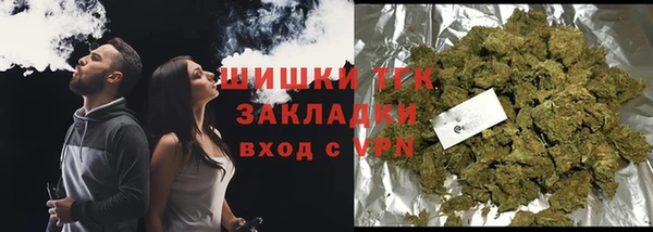дмт Пестово