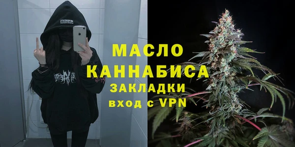 дмт Пестово